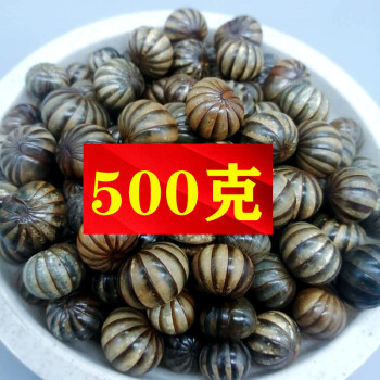 滚山珠虫滚山虫地罗汉中药材另五谷虫蚂蚱九香虫金边土元 500克地罗汉