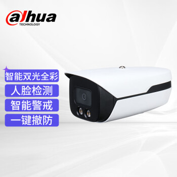 大华dahua监控摄像头 200万星光夜视网线供电智能警戒AI人脸识别抓拍摄像头DH-IPC-HFW4243M1-YL-PV-AS 3.6mm