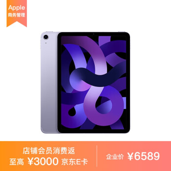 Apple iPad Air 10.9英寸平板电脑 2022年款（256G WLAN+Cellular版/M1芯片 MMEX3CH/A) 紫色*企业专享