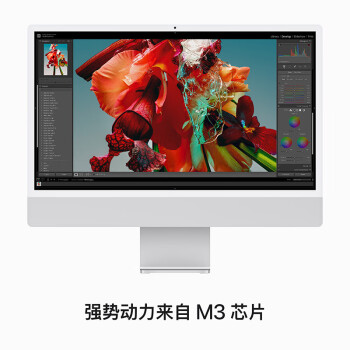 Apple/苹果AI笔记本/2023款 iMac 24英寸蓝色 4.5K屏M3(8+8核)16G 512G一体式电脑Z1970008L【定制】