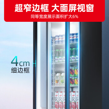 星星（XINGX）299升单门展示柜 饮料柜 直冷饮料柜 冷藏保鲜超市冷饮陈列柜（无灯箱款）LSC-310YPE