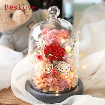 彼时爱（BesLove）永生花送女朋友母亲节520生日礼物玫瑰花玻璃罩摆件小熊配灯光