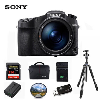 索尼（SONY）DSC-RX10M4 黑卡数码相机 1英寸大底 超长焦 （24-600mm） 约0.03秒快速对焦  256G套装