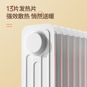 澳柯玛(AUCMA)油汀取暖器/取暖器家用/取暖电器/电暖器/电暖气片烤火炉油丁13片电热油汀电暖炉206-13