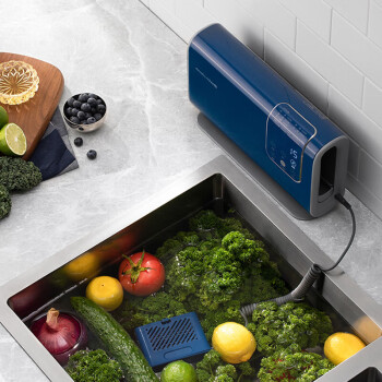 摩飞电器（Morphyrichards）果蔬清洗机 MR2061 家用双仓有线洗菜机蔬菜水果分类烘干  颜色随机
