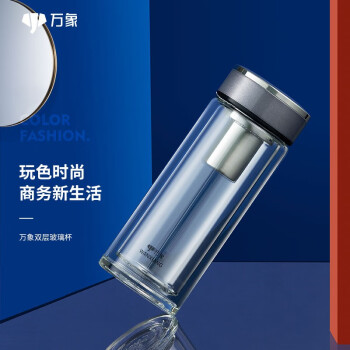 万象（WANXIANG）玻璃杯V32L便携礼盒装中国灰双层泡茶杯315ML商务办公带滤网水杯