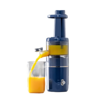 摩飞电器 榨汁机 家用原汁机 渣汁分离 多功能全自动果蔬榨果汁机 MR9901 蓝色