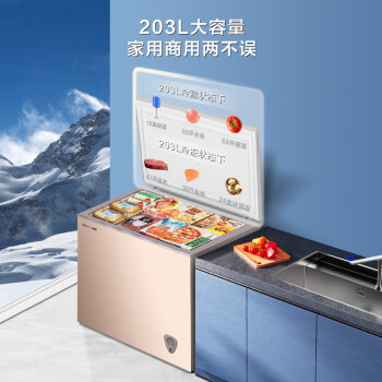 海信 (Hisense) 冰柜家用小型冷柜203升 冷藏冷冻转换柜一级能效 BD/BC-203NUD家庭母乳茶叶柜保鲜柜