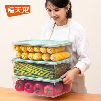 禧天龙冰箱保鲜盒食品级冰箱收纳盒塑料密封盒蔬菜水果冷冻盒 8L 1个