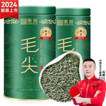 贡苑绿茶毛尖茶 特级250g 2024新茶明前嫩芽罐装春茶嫩芽茶叶自己喝