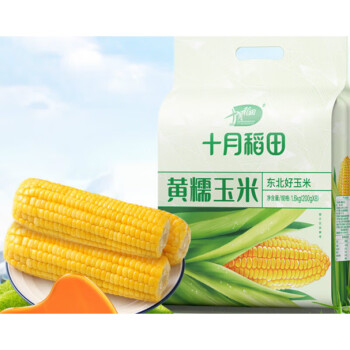 十月稻田   黄糯玉米1.6kg 东北甜糯玉米棒 杂粮礼包