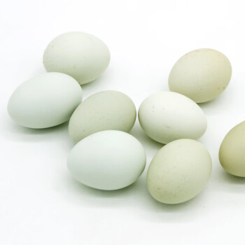 徐小鹅果园绿壳蛋10枚新鲜鸡蛋农家散养山林自养鸡蛋