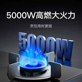 米家小米智能燃气灶S1 嵌入式家用煤气灶双灶具5.0kW猛火 烟灶联动 底座可调节MJ02D天然气