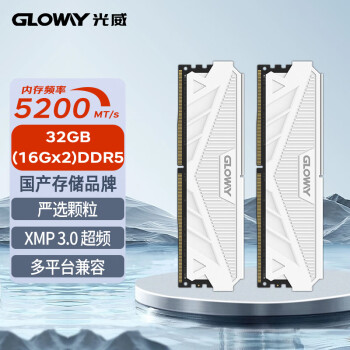 光威（Gloway）32GB(16GBx2)套装 DDR5 5200 台式机内存条 天策系列 助力AI