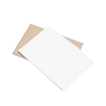 莱羽炫硅油纸烘焙油纸吸油纸牛油纸烤箱烤盘纸 60x40cm