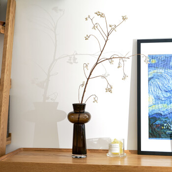 私花主义玻璃花瓶北欧轻奢摆件富贵竹玫瑰百合桌面花器创意几何-杨柳小