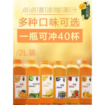 焙芝友浓缩果汁2L/瓶 奶茶店烘焙原料 多口味可选 SP1