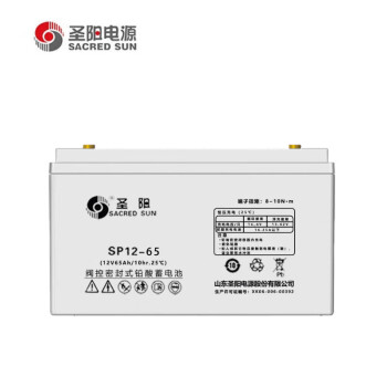 圣阳电源12V65AH铅酸免维护蓄电池 机房UPS/EPS电源系统SP12-65*60块+安装调试