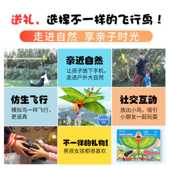 Hanvon汉王仿生鸟儿童玩具智能遥控飞行器出头鸟翠绿生日节日礼盒礼物