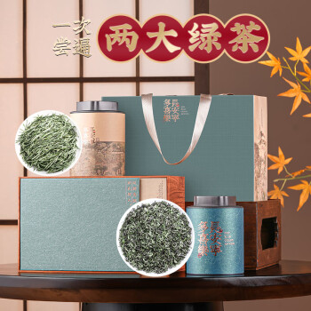小茶日记绿茶 （毛尖碧螺春）经典组合茶叶礼盒装300克父亲节礼物