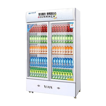 雪花 SNOWFLK冷藏展示柜商用大容量饮料柜保鲜柜超市玻璃门立式直冷啤酒柜 