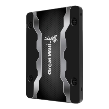 长城（Great Wall）1TB SSD固态硬盘 SATA3.0接口高速读写独立缓存 GW600S系列 读速560MB/S