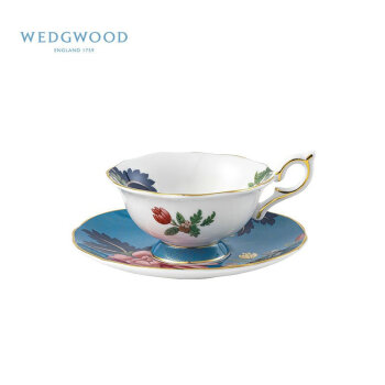 WEDGWOOD威基伍德 漫游美境杯碟套组  蔚蓝花园 140ml 欧式骨瓷下午茶具