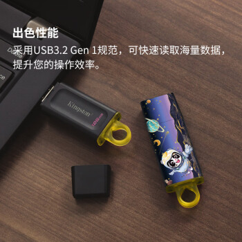 金士顿（Kingston）128GB USB3.2 Gen 1 U盘 DTX 个性化熊猫印刷款