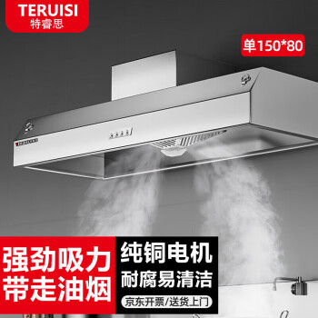特睿思（TERUISI）油烟机商用油烟净化器饭店炸鸡餐饮低空排放环保抽油烟净化一体机