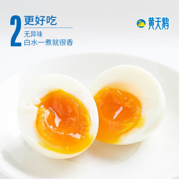 黄天鹅可生食鲜鸡蛋礼盒装 无异味 不含沙氏门菌 6枚 318g/盒