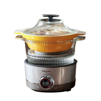 东菱 蒸汽锅DL-9009 家用电蒸锅电炖盅煲汤
