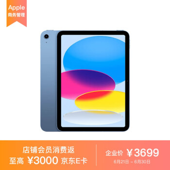 Apple iPad 10.9英寸平板电脑 2022年款（64GB Cellular版/A14芯片/1200万像素 MQ6Y3CH/A） 蓝色*企业专享