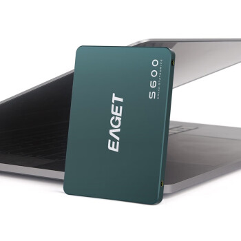 忆捷（EAGET）S600-1TB SSD固态硬盘 SATA3接口 个