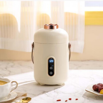 大宇（DAEWOO）便携式家用旅行电热水壶随行冲奶泡茶养生保温杯电热烧水杯升级款白色D2