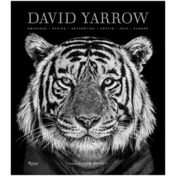 现货 David Yarrow Photography 动物摄影师 大卫亚罗摄影画册作品集 英文摄影画册