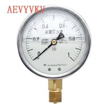 AEVYVKV 耐震压力表水压表气压表YN-60  / 0-1MPa