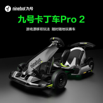 九号（Ninebot）卡丁车Pro2代成人儿童电动游戏漂移平衡车体感车赛车高颜值 金属灰