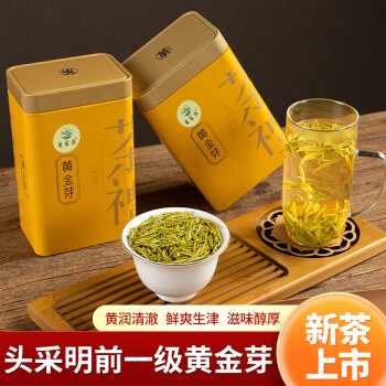 夏家岙安吉黄金芽 明前 2023新茶特级绿茶茶叶礼盒装250g