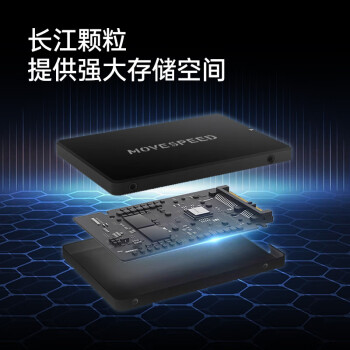 移速（MOVE SPEED)256GB SSD固态硬盘 长江存储晶圆 国产TLC颗粒 SATA3.0接口高速读写 金钱豹PRO系列