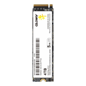 光威（Gloway）4TB SSD固态硬盘 M.2接口(NVMe协议) PCIe 4.0x4 长江存储颗粒 弈二代系列