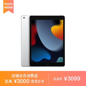 Apple iPad 10.2英寸平板电脑 2021款（64GB Wlan+Cellular版/A13芯片/1200万像素 MK613CH/A）银色*企业专享