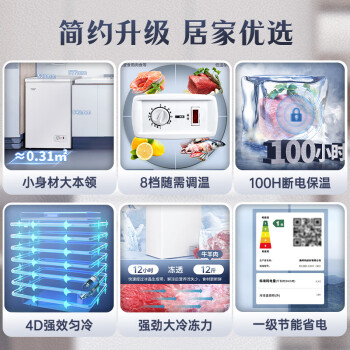 澳柯玛（AUCMA）100升家用低霜小冰柜 商用冷藏柜冷冻柜转换 母乳冰柜小型冰箱冷柜 一级能效 BC/BD-100H 以旧换新