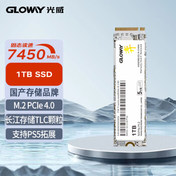 光威（Gloway）1TB SSD固态硬盘 M.2接口(NVMe协议) PCIe 4.0x4  长江存储TLC颗粒 弈系列