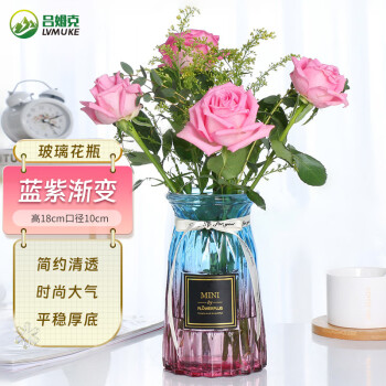 吕姆克花瓶玻璃鲜花干花插花瓶水养植物花器装饰花瓶摆件蓝紫渐变5180