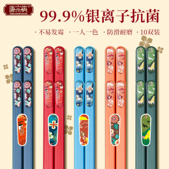 唐宗筷筷子合金筷子家用抗菌率99.9%耐高温高档日式餐具套装10双装
