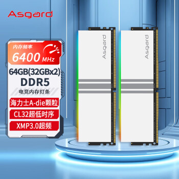 阿斯加特（Asgard）64GB(32Gx2)套装 DDR5 6400 台式机内存条 女武神·瓦尔基里系列 RGB灯条 CL32