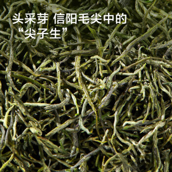 京东京造 24年新茶特级信阳毛尖100g装 明前绿茶冷泡茶叶自饮 父亲节礼物