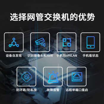 锐捷（Ruijie）8口全千兆网管交换机 RG-ES208GC 安防监控 企业级办公监控工程交换器