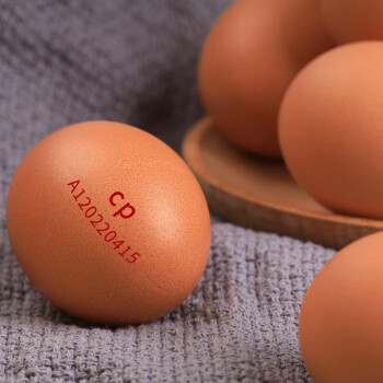 CP 正大 鲜鸡蛋家庭礼盒 60枚 3.18kg 早餐食材 优质蛋白 礼盒装