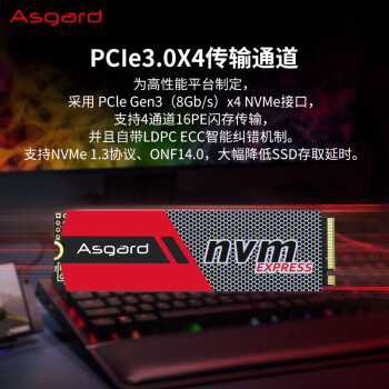 阿斯加特（Asgard）256GB SSD固态硬盘 M.2接口(NVMe协议) PCIe 3.0 AN系列 读速高达2200MB/s